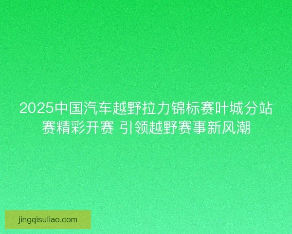 2025中国汽车越野拉力锦标赛叶城分站赛精彩开赛 引领越野赛事新风潮