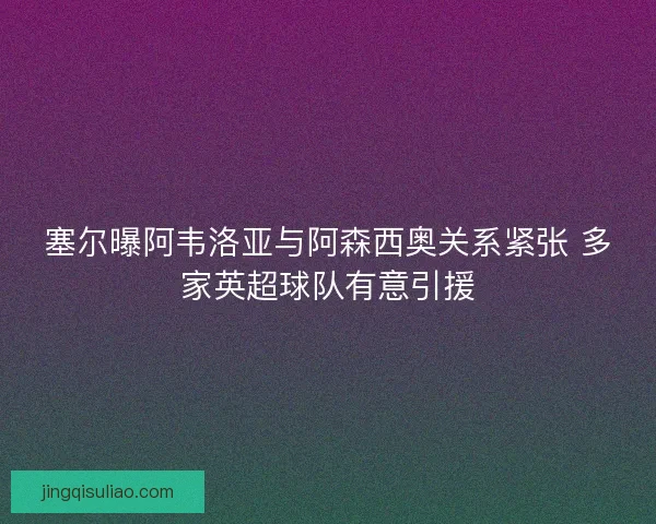 塞尔曝阿韦洛亚与阿森西奥关系紧张 多家英超球队有意引援